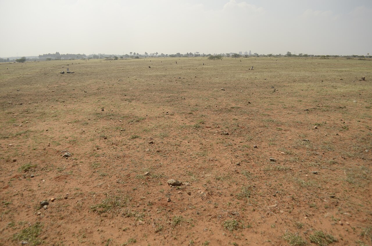 Grasslands