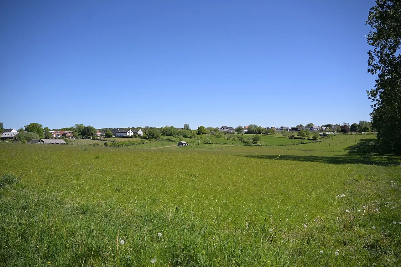 Grasslands